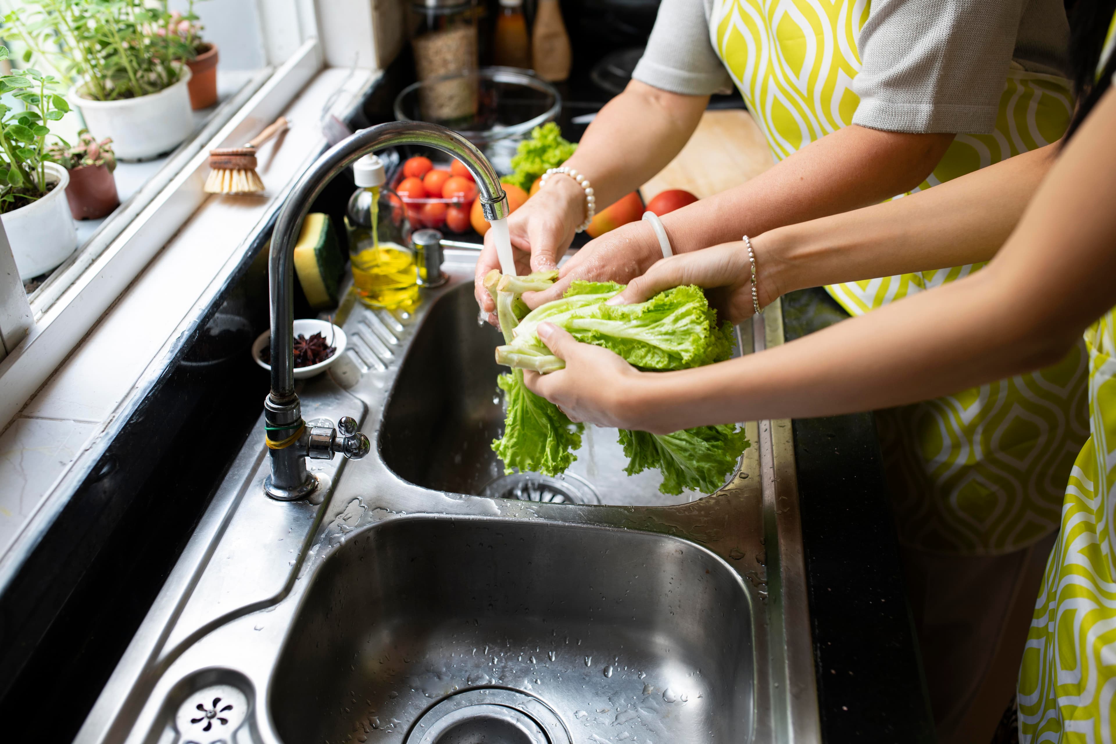 Kitchen Hygiene